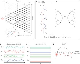 Figure 1: Quantum transport simulations in a programmable nanophotonic processor